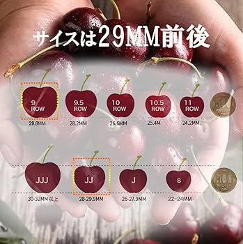 Amazon.co.jp: 超大粒果物 カナダ産チェリーさくらんぼ